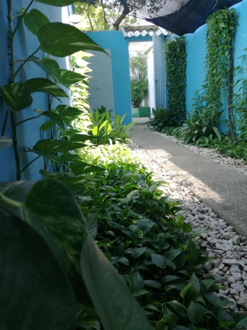 CartagenaLa Casa Azul公寓 外观 照片